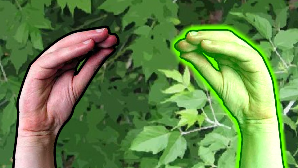 Freedom Hands