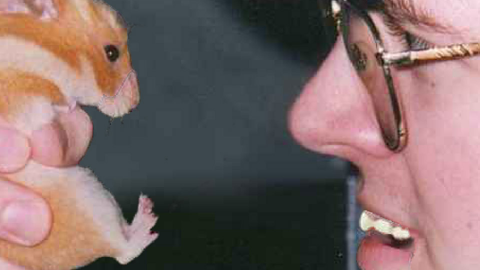 Mad Scientist Torments Hamster