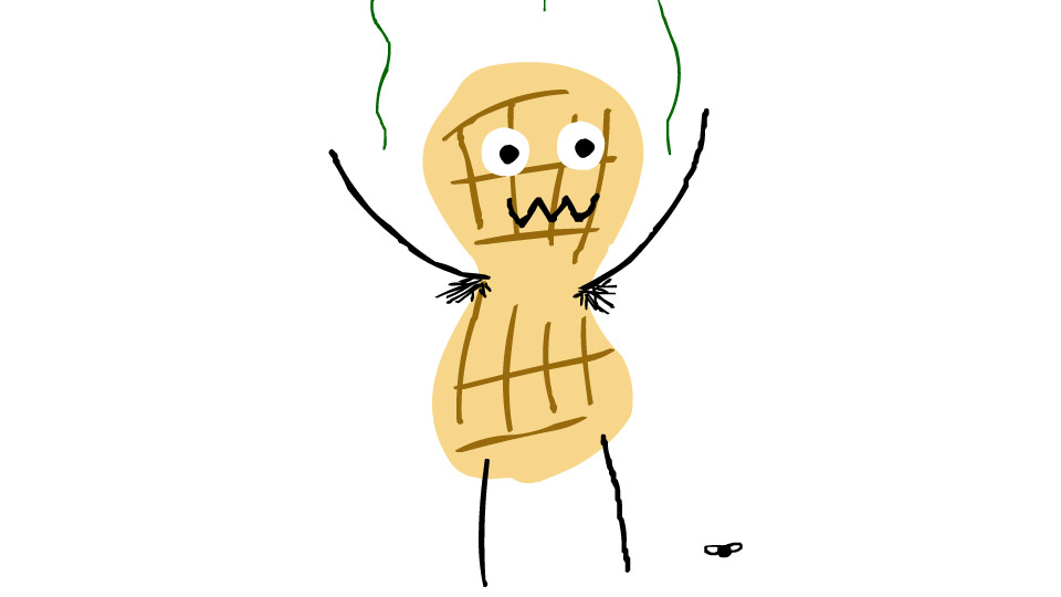 Group X - Peanuts