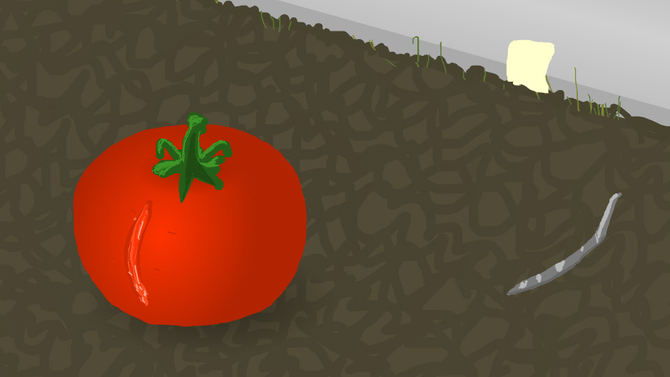 Tomato Animation