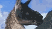The Llama Song