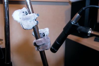 [Koala Love]
