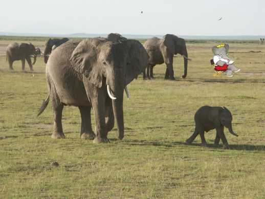 [Babar]