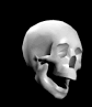 [Yorick]